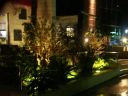 PICT0022.JPG