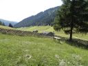 DSC00233.JPG