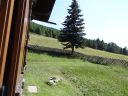 DSC00234.JPG