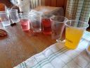 DSC00235.JPG