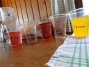 DSC00236.JPG