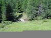 DSC00252.JPG