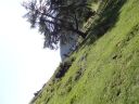 DSC00254.JPG