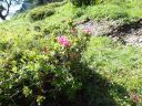 DSC00257.JPG