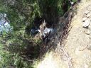 DSC00259.JPG