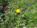 DSC00266.JPG