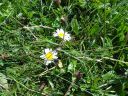 DSC00274.JPG