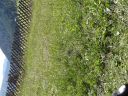 DSC00286.JPG