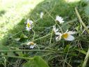 DSC00289.JPG