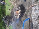 DSC00294.JPG