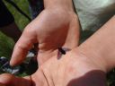 DSC00438.JPG