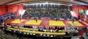 Filename=Halle.jpg
Filesize=70KiB
Dimensions=800x358
Date added=Oct 09, 2014 Halle.jpg