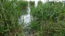 IMG-20150528-WA0009.jpg