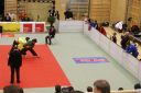 Judo_Wattens_6_3_10_rovara2_16.JPG