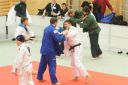 Judo_Wattens_6_3_10_rovara2_93.JPG