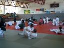 CIMG2515.JPG