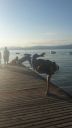 Filename=Training_Gardasee_2015_1.jpg
Filesize=129KiB
Dimensions=900x1600
Date added=Sep 08, 2015 Training_Gardasee_2015_1.jpg
