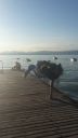 Filename=Training_Gardasee_2015_5.jpg
Filesize=140KiB
Dimensions=900x1600
Date added=Sep 08, 2015 Training_Gardasee_2015_5.jpg